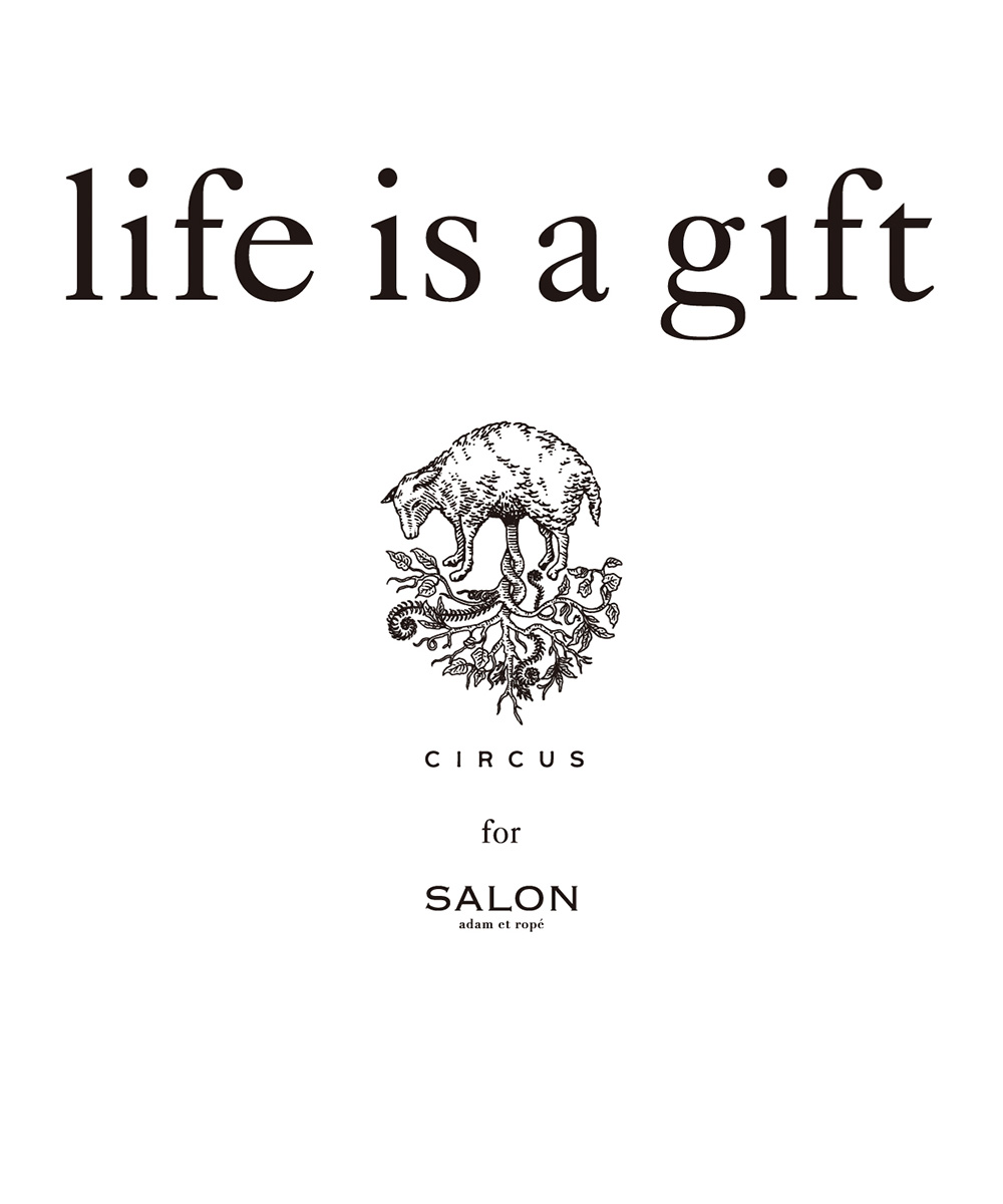 life is a gift - circus